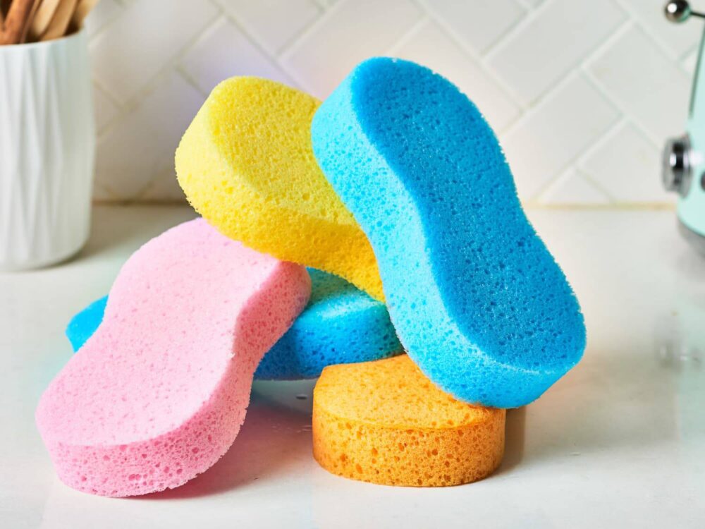 Sponges