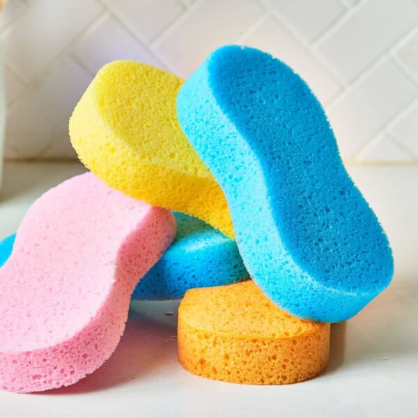 Sponges