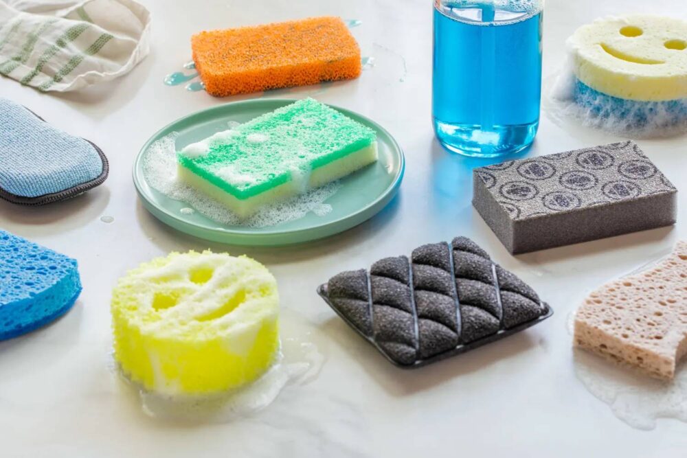 Sponges
