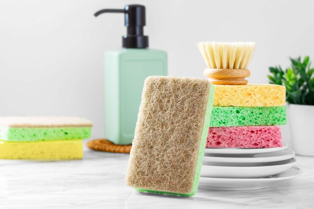 Sponges