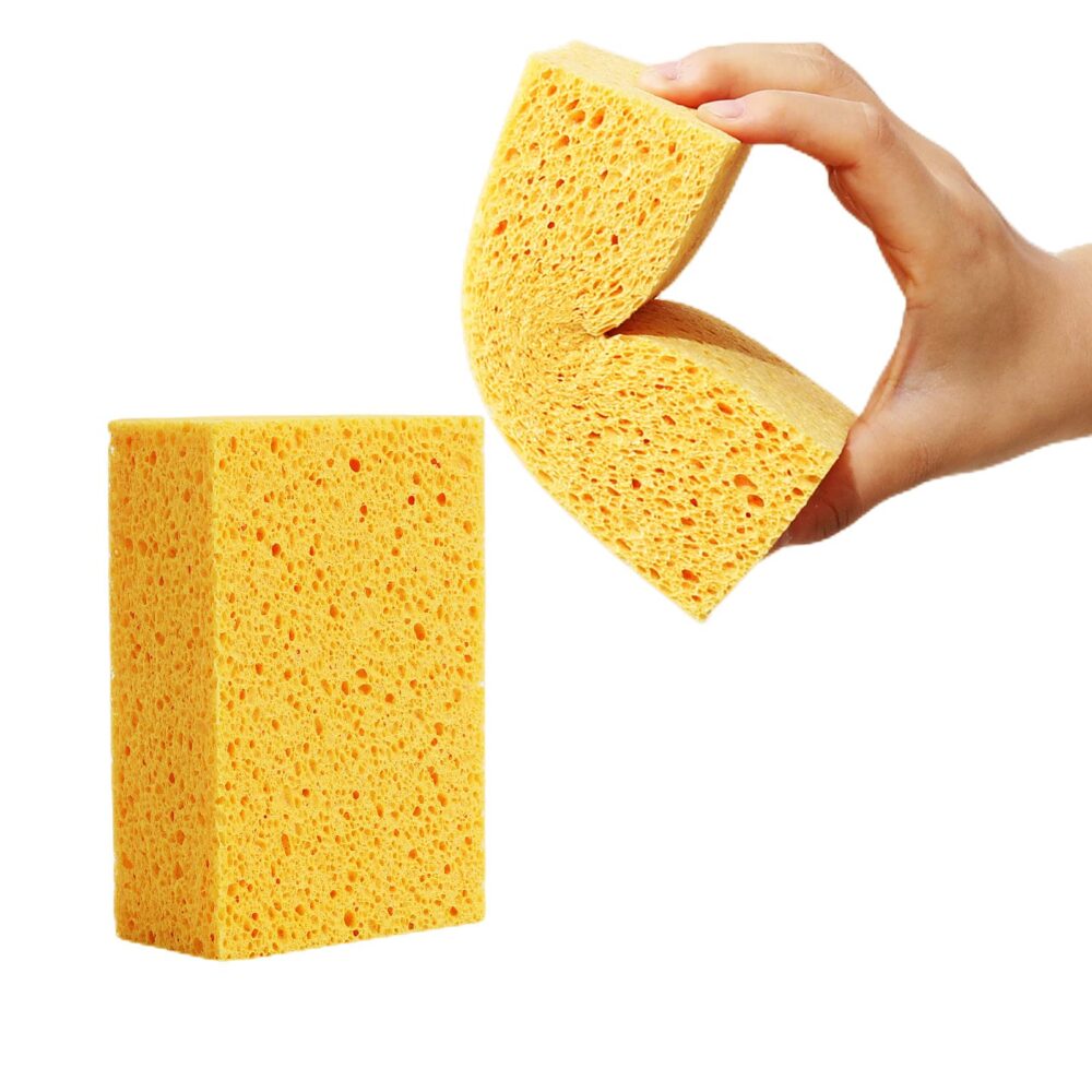 Sponges